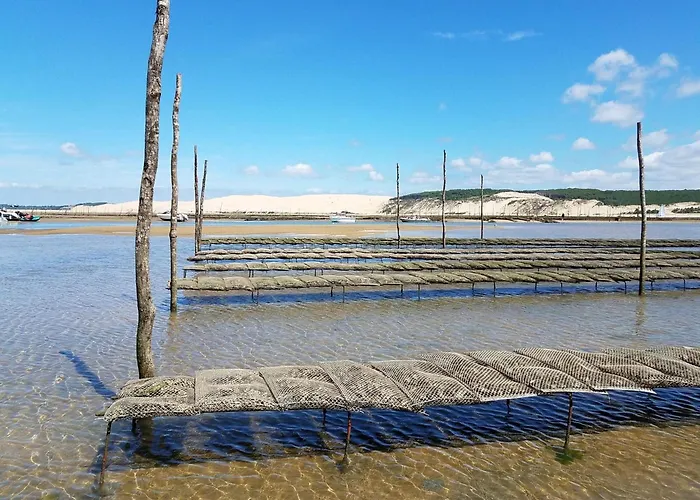 Moderne Avec Terrasse Vue Et Parking A - Fr-1-474-205 Arcachon